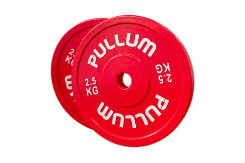 Pullum Branded 2.5kg Technique Disc Pair