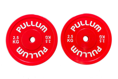 Pullum Branded 2.5kg Technique Disc Pair