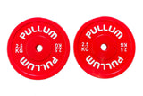 Pullum Branded 2.5kg Technique Disc Pair