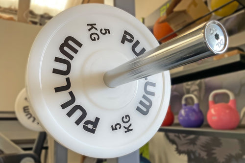 Pullum Branded 5kg Technique Disc Pair