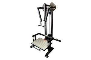 Pullum Pro-D Standing Lateral Raise Machine