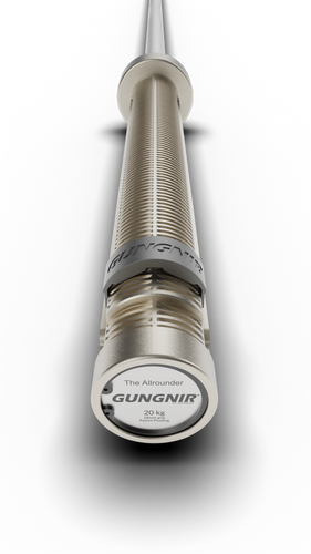 Gungnir Allrounder Training Bar