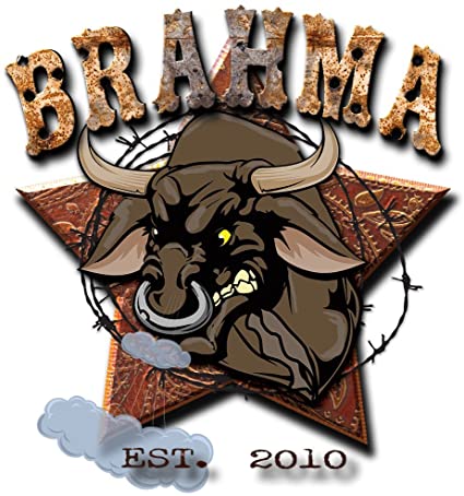 Titan Brahma Lever Belt